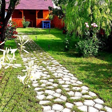 Casa Pavel Jurilovca Exterior foto