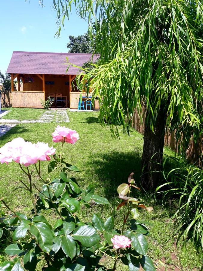 Casa Pavel Jurilovca Exterior foto