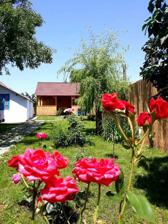 Casa Pavel Jurilovca Exterior foto
