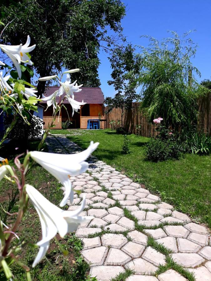 Casa Pavel Jurilovca Exterior foto